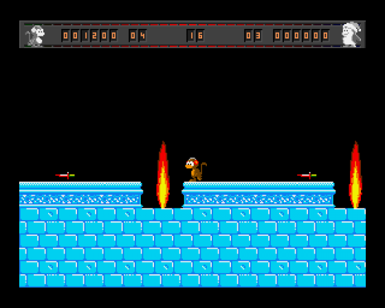 Aunt Arctic Adventure Screenshot 5 (Amiga 500)