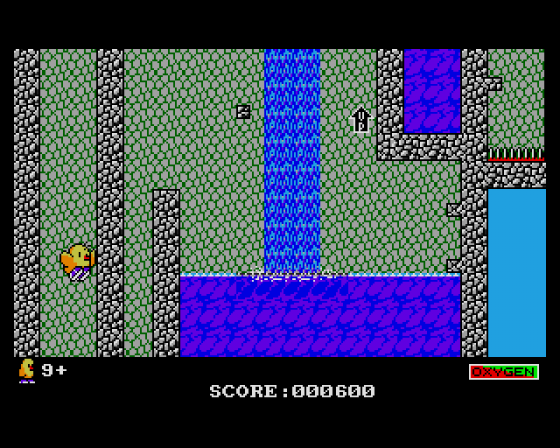 The Newzealand Story Screenshot 6 (Amiga 500)