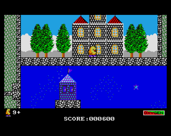 The Newzealand Story Screenshot 7 (Amiga 500)