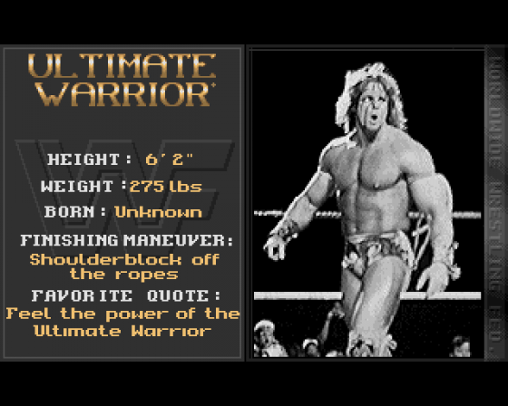 WWF European Rampage Tour Screenshot 5 (Amiga 500)