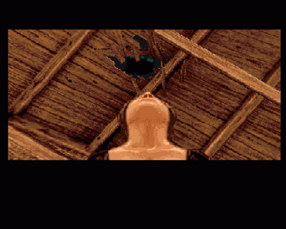 Shadow Of The Beast II Screenshot 13 (Amiga 500)