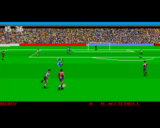 3D World Soccer Screenshot 8 (Amiga 500)