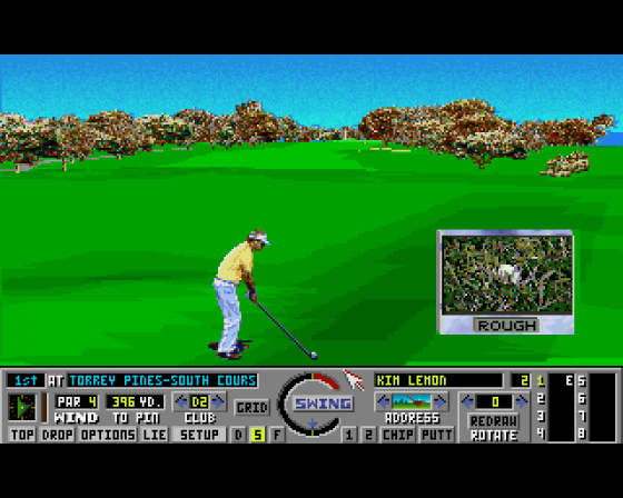 Links: The Challenge of Golf Screenshot 6 (Amiga 500)