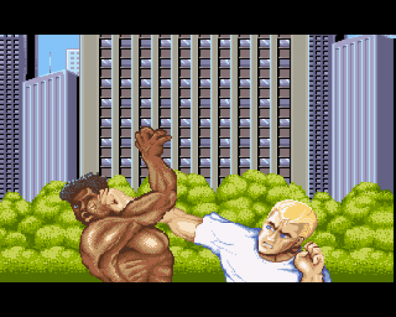 Street Fighter II: The World Warrior