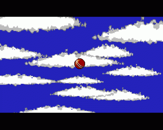 World Cricket Screenshot 7 (Amiga 500/600)