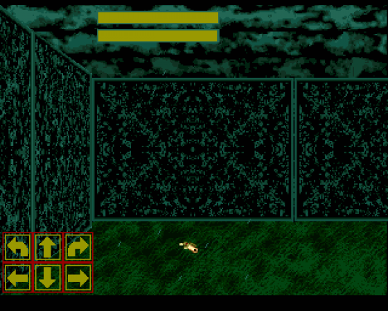 Champions of Dawn Screenshot 12 (Amiga 500)