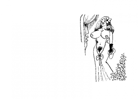 Art Of Sex Screenshot 5 (Amstrad CPC464)