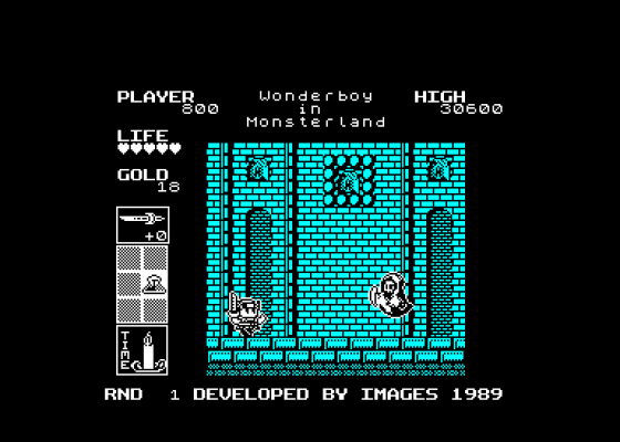 Super Wonderboy In Monster Land Screenshot 5 (Amstrad CPC464)