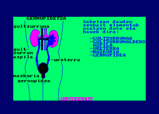 El Cuerpo Humano - Aparato Urinario Screenshot 5 (Amstrad CPC464)