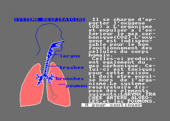 El Cuerpo Humano - El Sistema Respiratorio