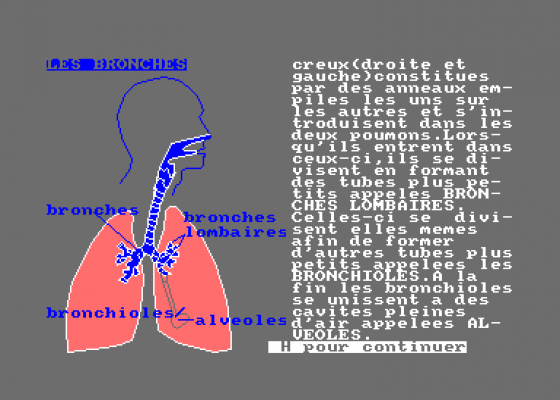 El Cuerpo Humano - El Sistema Respiratorio