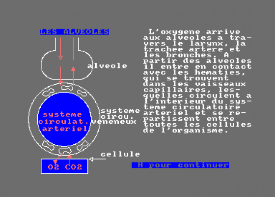 El Cuerpo Humano - El Sistema Respiratorio Screenshot 5 (Amstrad CPC464)