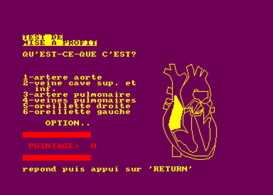 El Cuerpo Humano - Sistema Circulatorio - El Corazon Screenshot 5 (Amstrad CPC464)