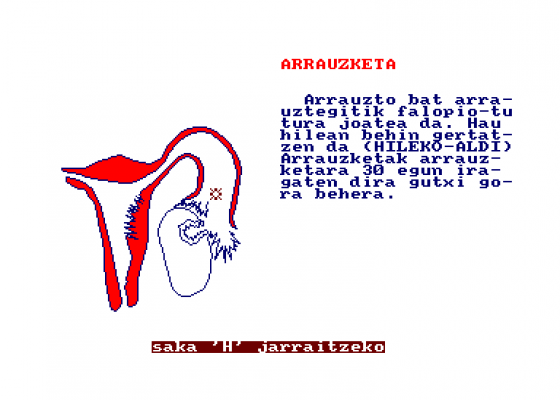 El Sistema Reproductor Screenshot 5 (Amstrad CPC464)