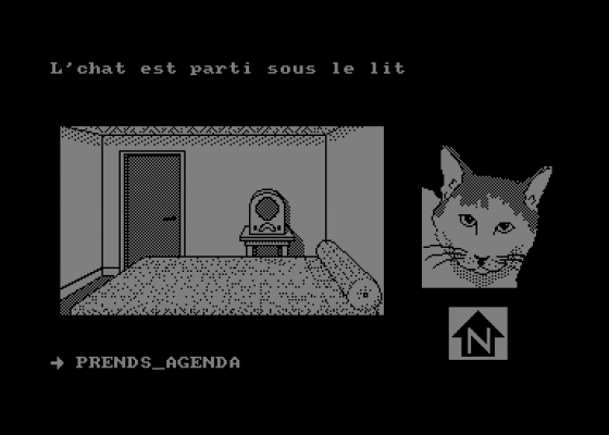 Harry & Harry - La Boite De Rajmahal Screenshot 5 (Amstrad CPC464)