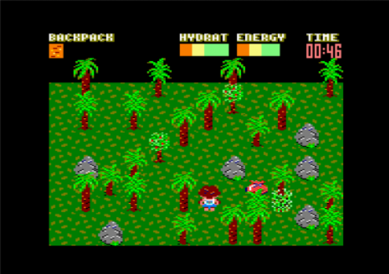 Castaway Screenshot 5 (Amstrad CPC464/664/6128)