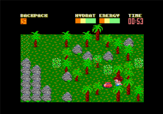 Castaway Screenshot 6 (Amstrad CPC464/664/6128)