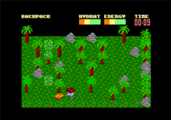 Castaway Screenshot 7 (Amstrad CPC464/664/6128)