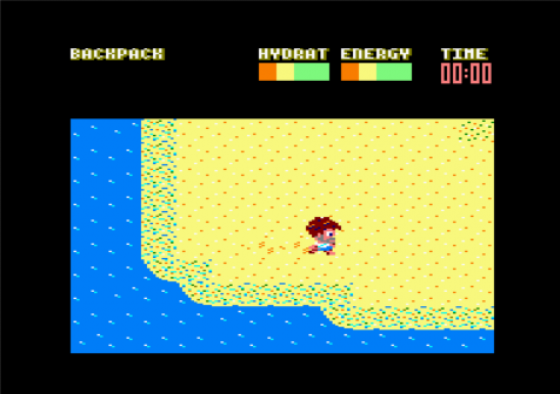 Castaway Screenshot 9 (Amstrad CPC464/664/6128)