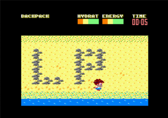 Castaway Screenshot 11 (Amstrad CPC464/664/6128)