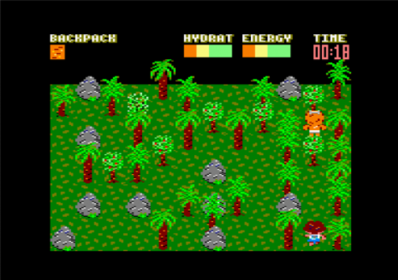 Castaway Screenshot 12 (Amstrad CPC464/664/6128)