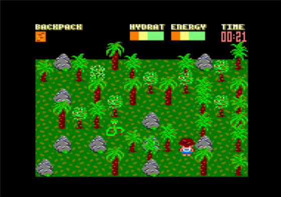 Castaway Screenshot 13 (Amstrad CPC464/664/6128)