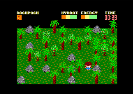 Castaway Screenshot 14 (Amstrad CPC464/664/6128)