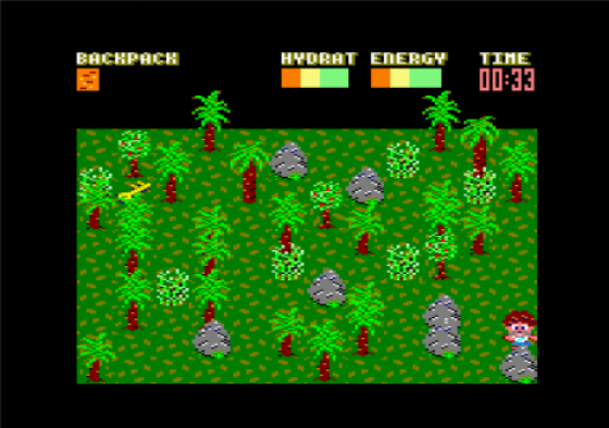 Castaway Screenshot 15 (Amstrad CPC464/664/6128)