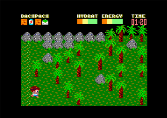 Castaway Screenshot 17 (Amstrad CPC464/664/6128)