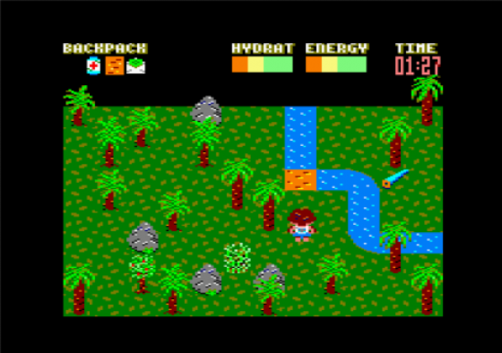 Castaway Screenshot 18 (Amstrad CPC464/664/6128)