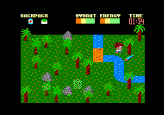 Castaway Screenshot 19 (Amstrad CPC464/664/6128)