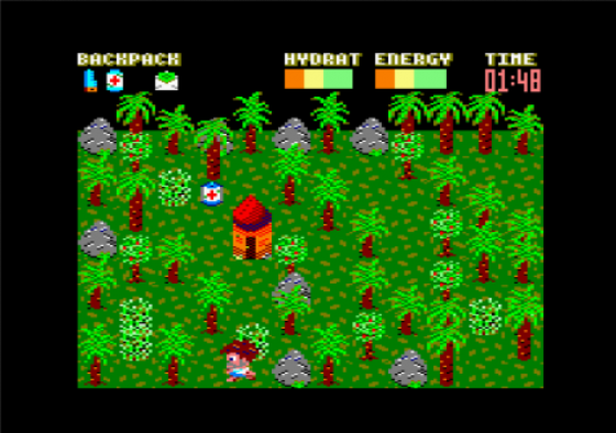 Castaway Screenshot 21 (Amstrad CPC464/664/6128)