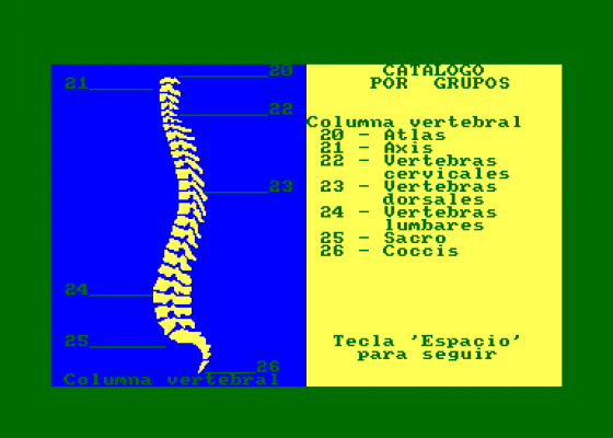 El Cuerpo Humano - El Esqueleto