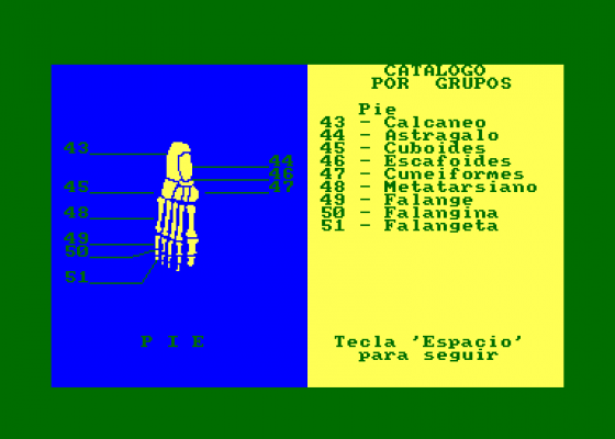 El Cuerpo Humano - El Esqueleto Screenshot 5 (Amstrad CPC464)