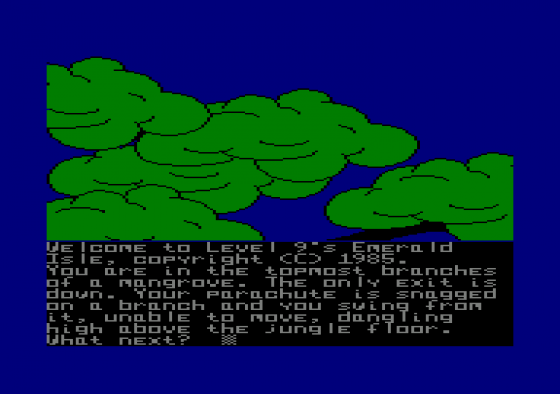 Emerald Isle Screenshot 1 (Amstrad CPC464)