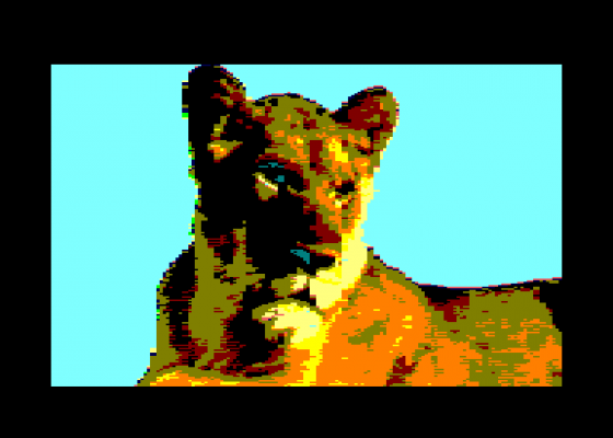 Archie Picture Show 1 Screenshot 5 (Amstrad CPC464)