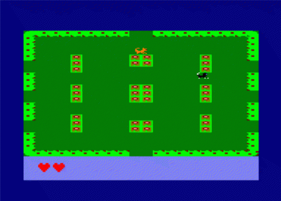 Angry Kitten Screenshot 7 (Amstrad CPC464/664)