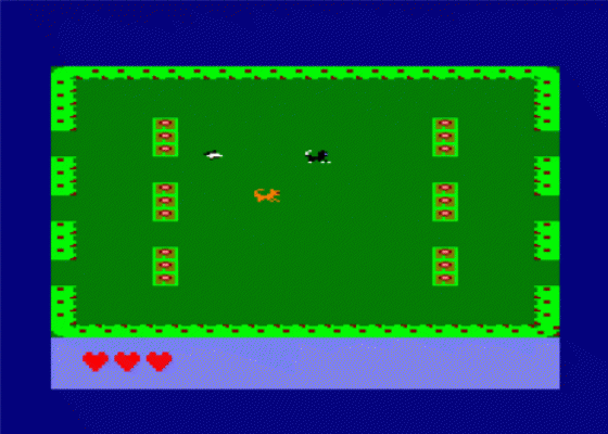 Angry Kitten Screenshot 8 (Amstrad CPC464/664)