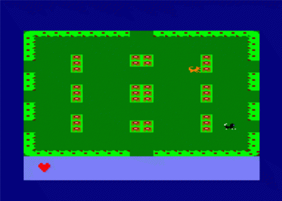 Angry Kitten Screenshot 11 (Amstrad CPC464/664)