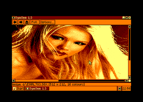 Erotic Pictures PB 16 Colours For SymBOS Screenshot 5 (Amstrad CPC464)