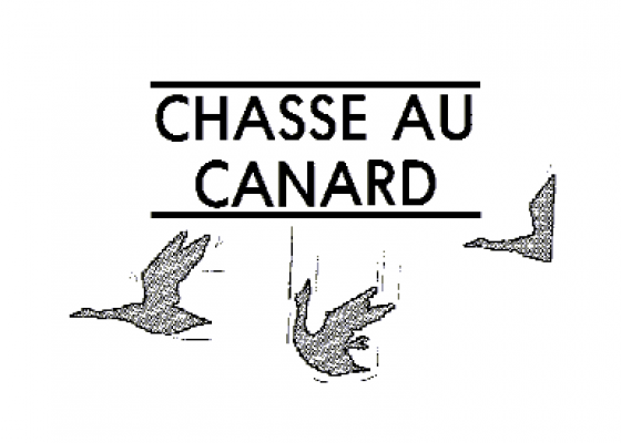 Chasse Au Canard