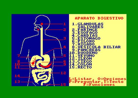 El Cuerpo Humano - Funciones Vitales