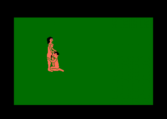 Sex Variation Screenshot 5 (Amstrad CPC464)