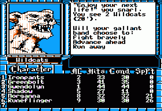 The Bard's Tale III: Thief of Fate Screenshot 5 (Apple II)