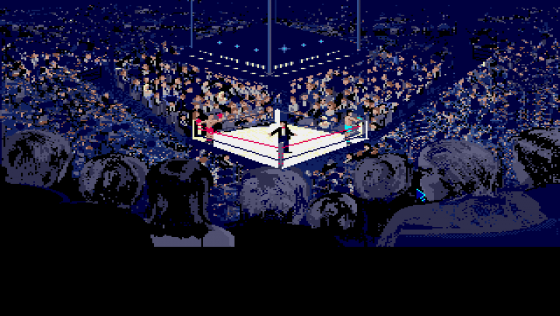 World Championship Boxing Manager Screenshot 7 (Archimedes A3000/A5000)