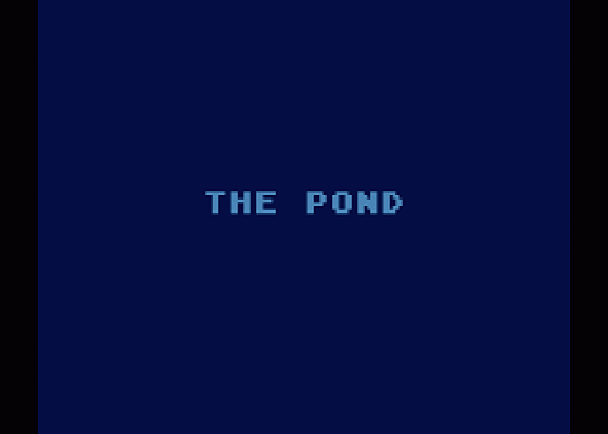 The Pond