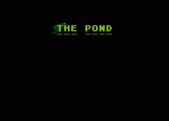 The Pond