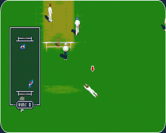 Graham Gooch World Class Cricket Screenshot 8 (Atari ST)