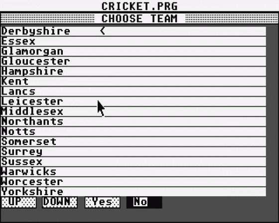 Championship Cricket Screenshot 6 (Atari ST)