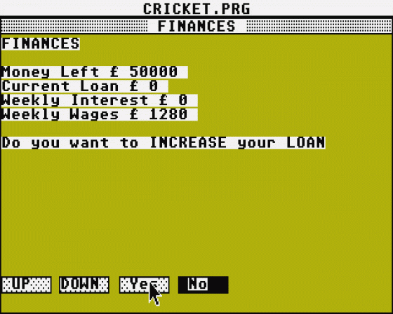 Championship Cricket Screenshot 10 (Atari ST)